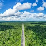 Ulu Temburong National Park: Surga Tersembunyi di Tengah Hutan Tropis Brunei